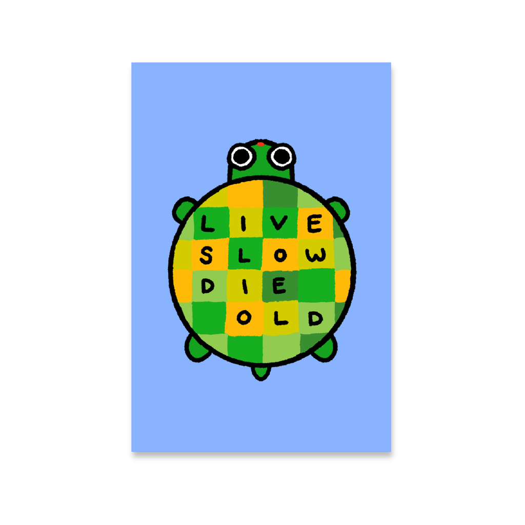 Live Slow Die Old Turtle