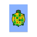 Live Slow Die Old Turtle