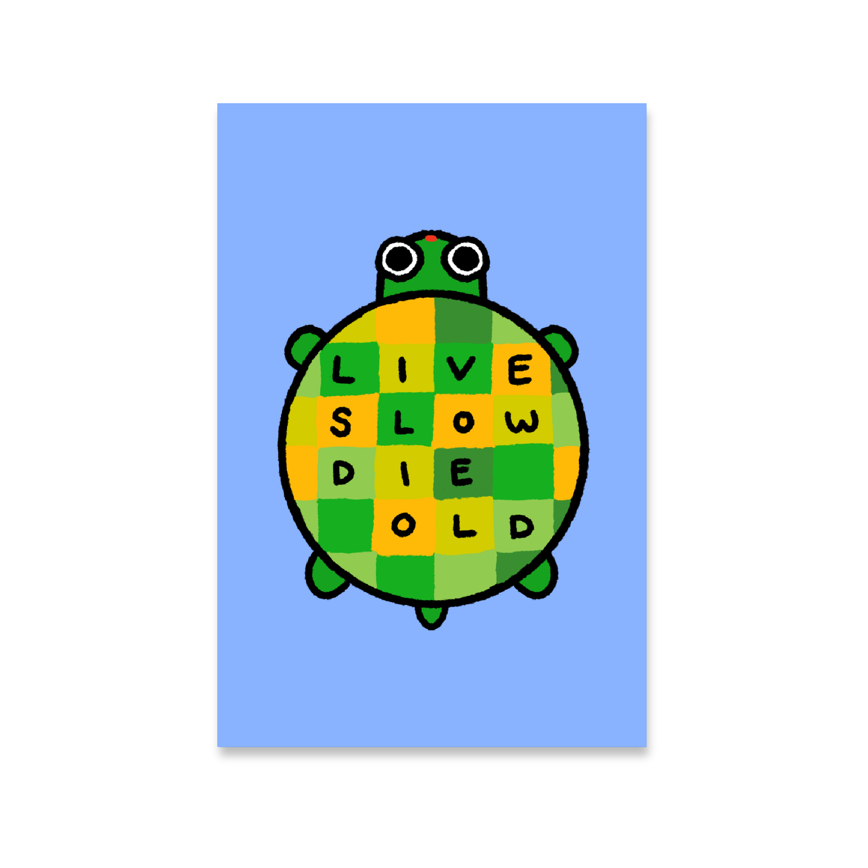 Live Slow Die Old Turtle