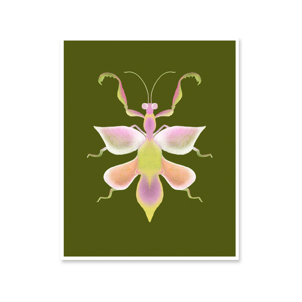 Orchid Mantis Print