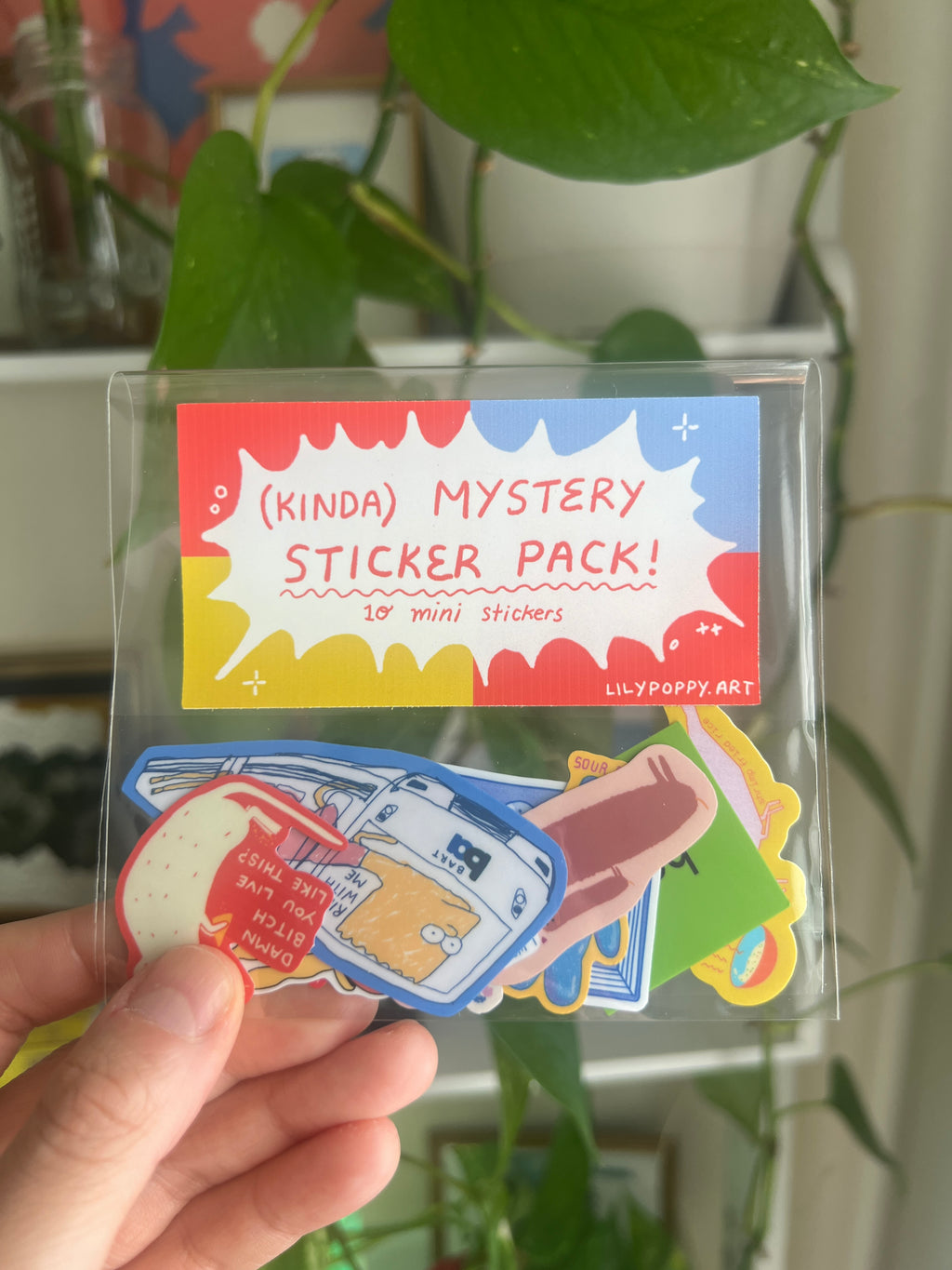 Mystery Mini Sticker Pack of 10